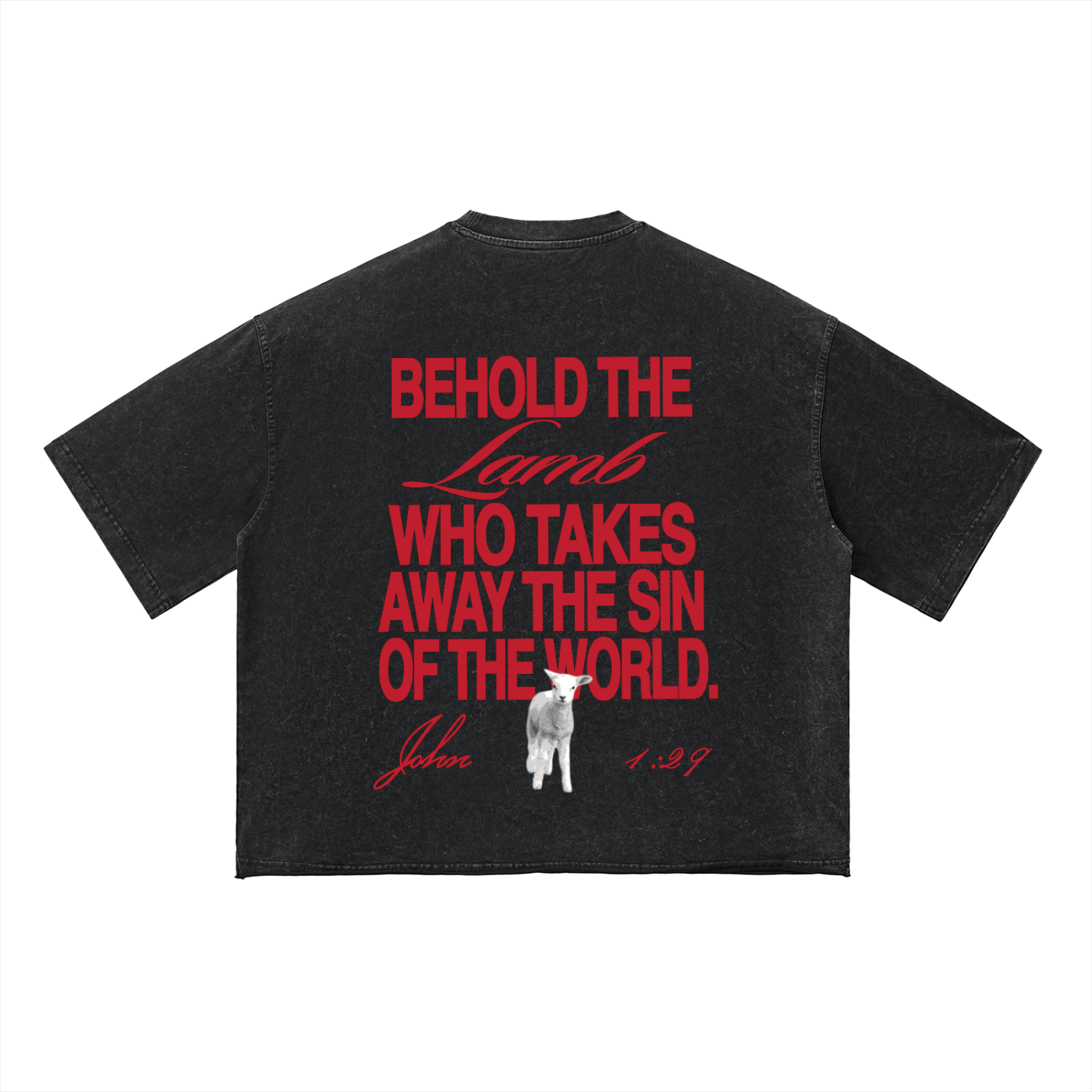 Behold The Lamb Boxy T-Shirt