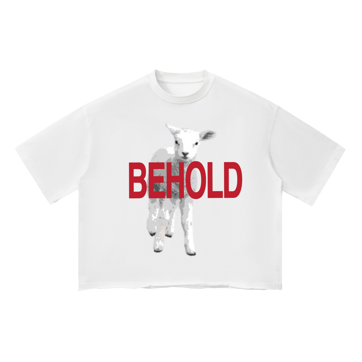 John 1:29 Boxy T-Shirt