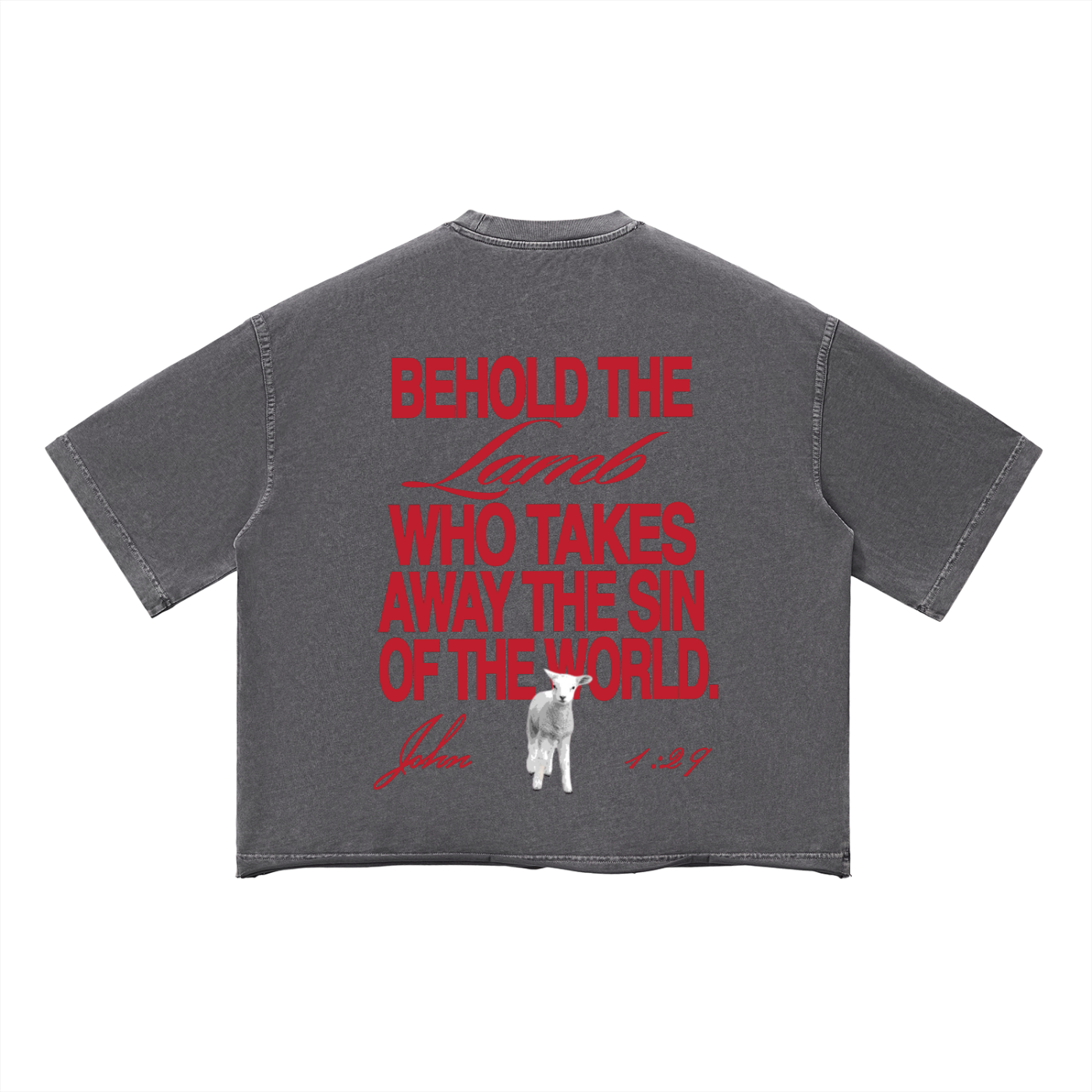 Behold The Lamb Boxy T-Shirt
