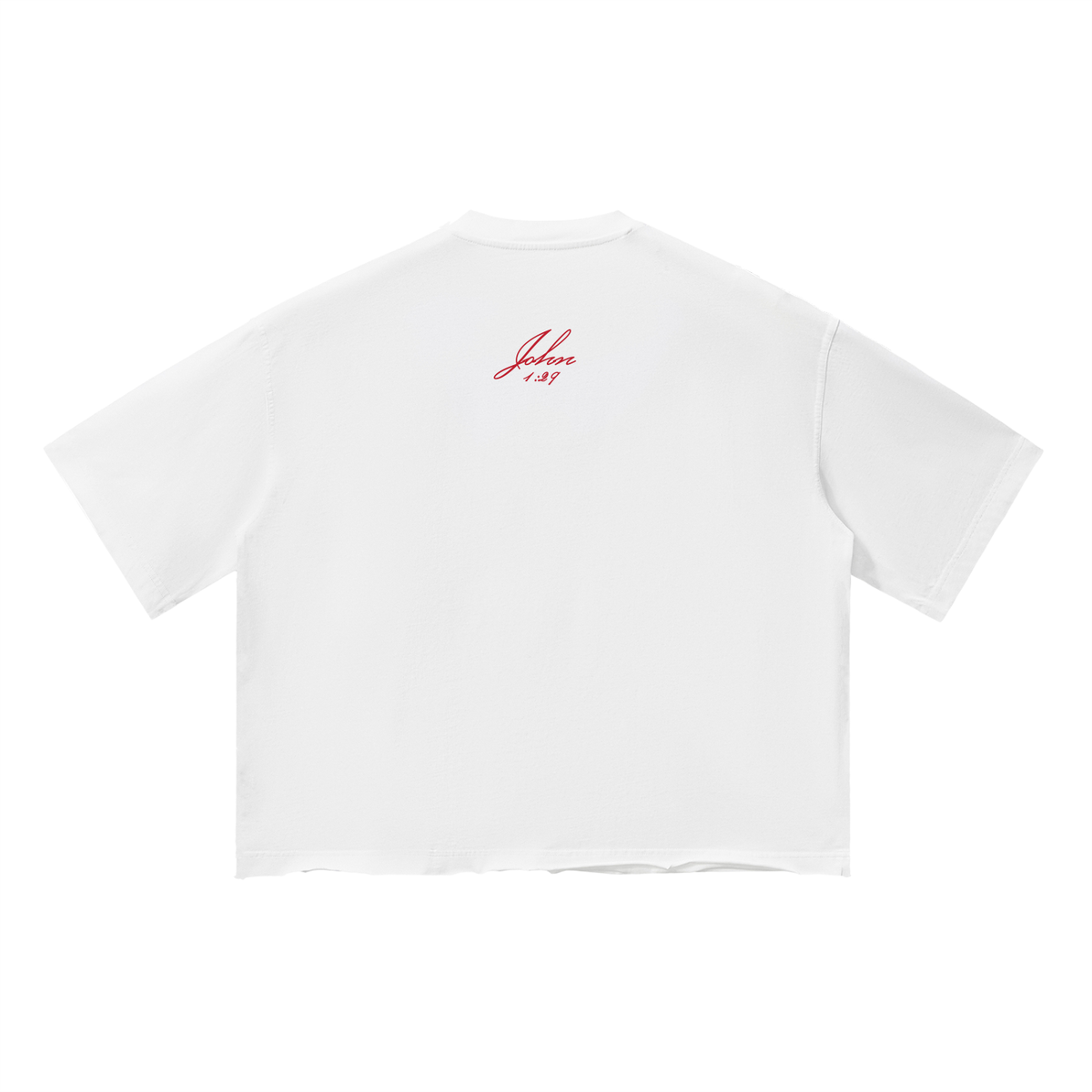 John 1:29 Boxy T-Shirt