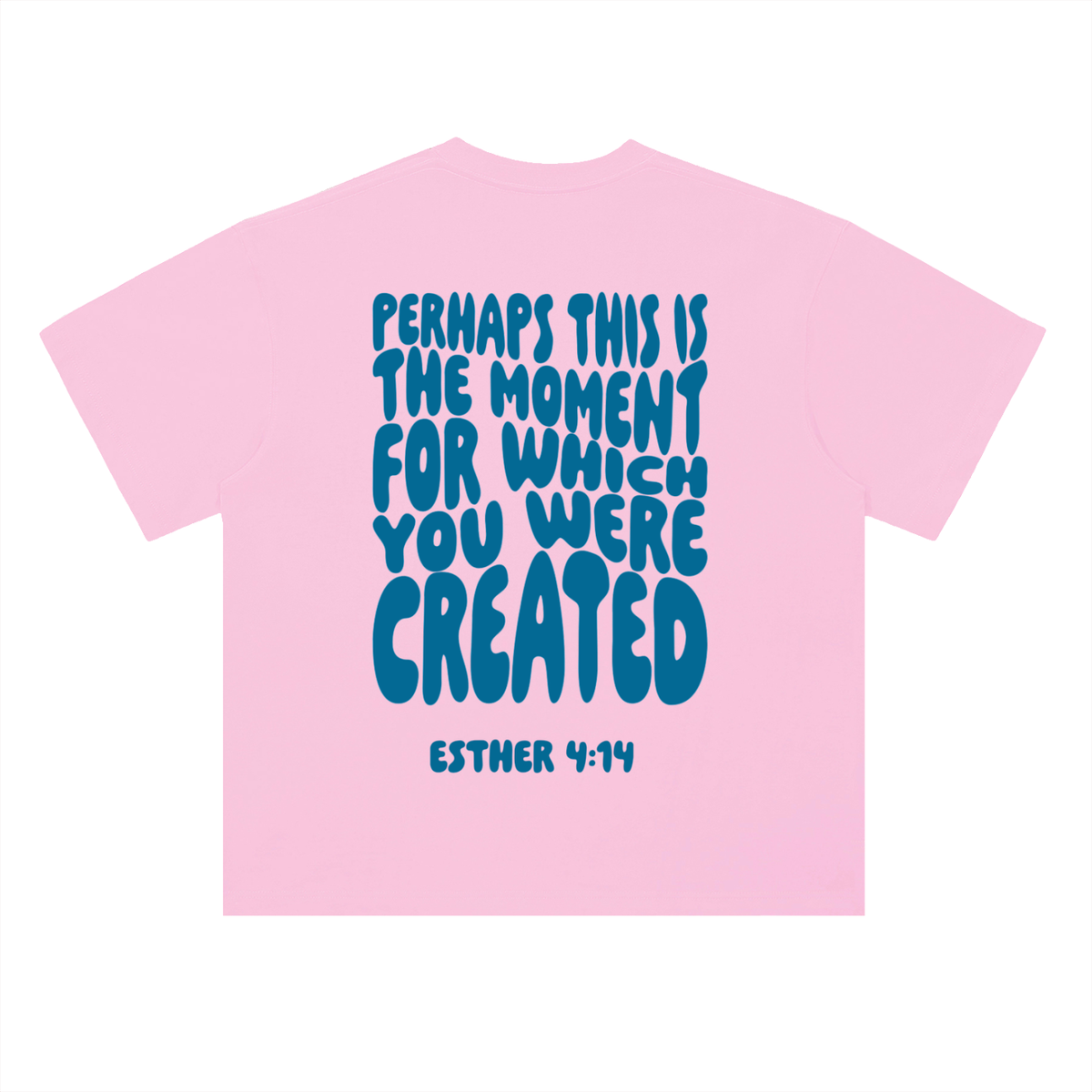 Esther 4:14 T-Shirt