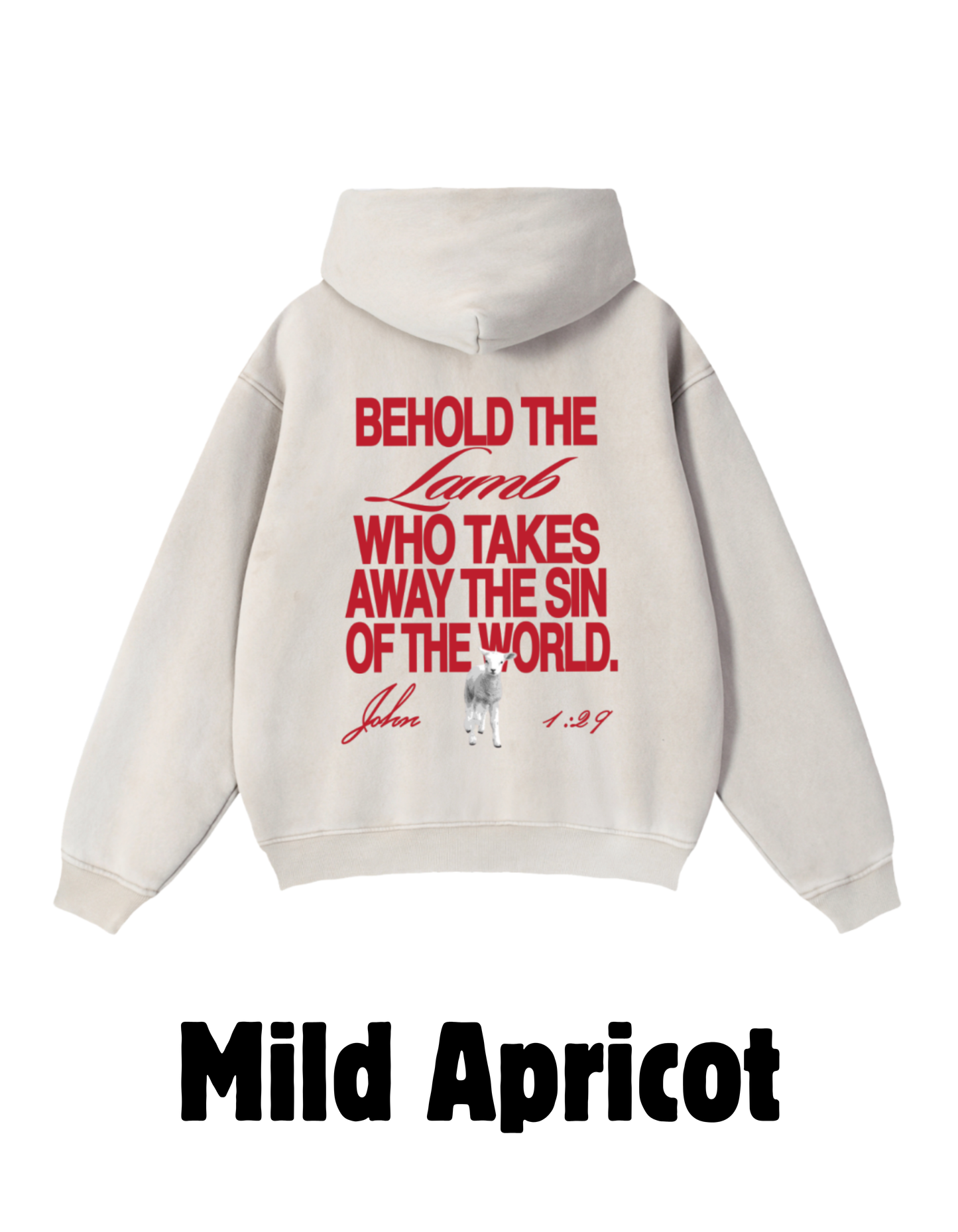 Behold Zip Boxy Fleece Hoodie