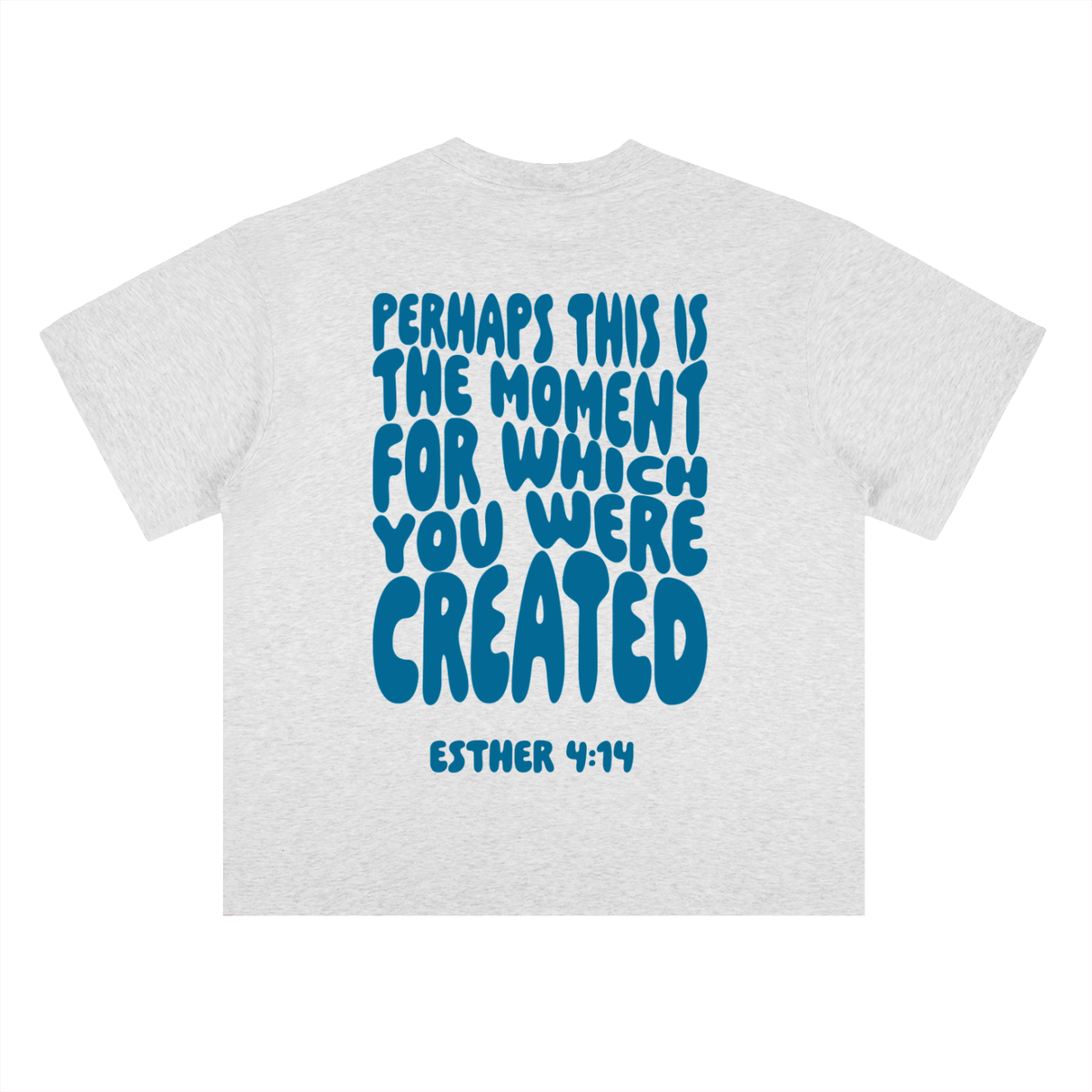 Esther 4:14 T-Shirt