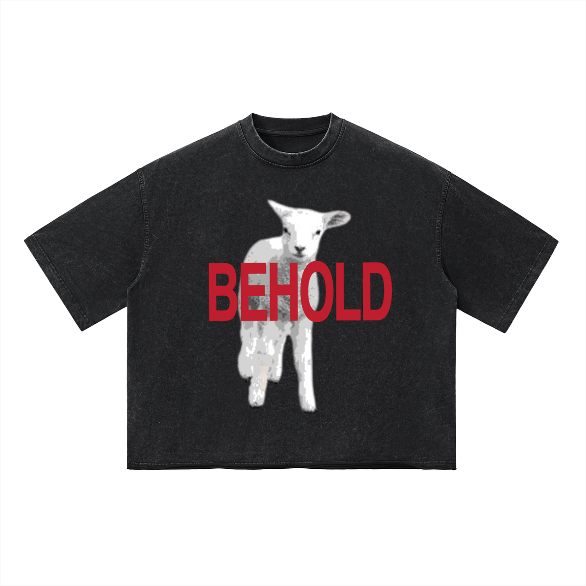 John 1:29 Boxy T-Shirt