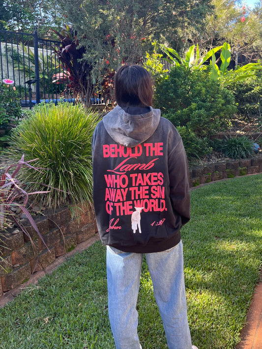 Behold Sunfade Oversized Hoodie