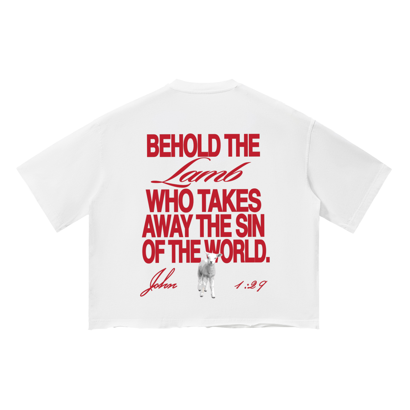 Behold The Lamb Boxy T-Shirt