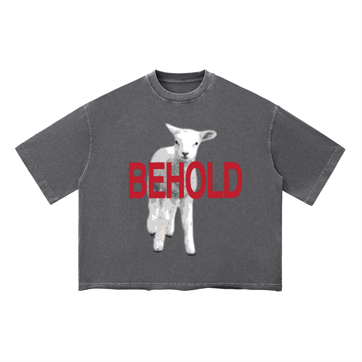 John 1:29 Boxy T-Shirt
