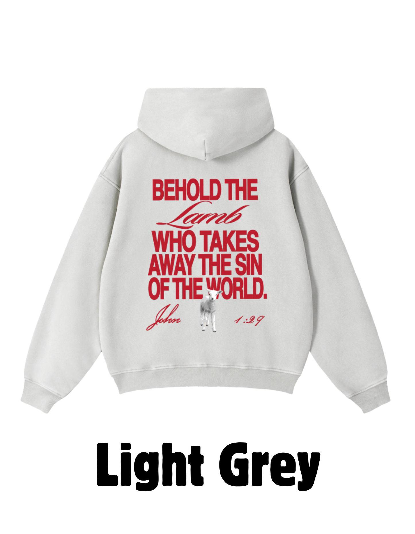 Behold Zip Boxy Fleece Hoodie