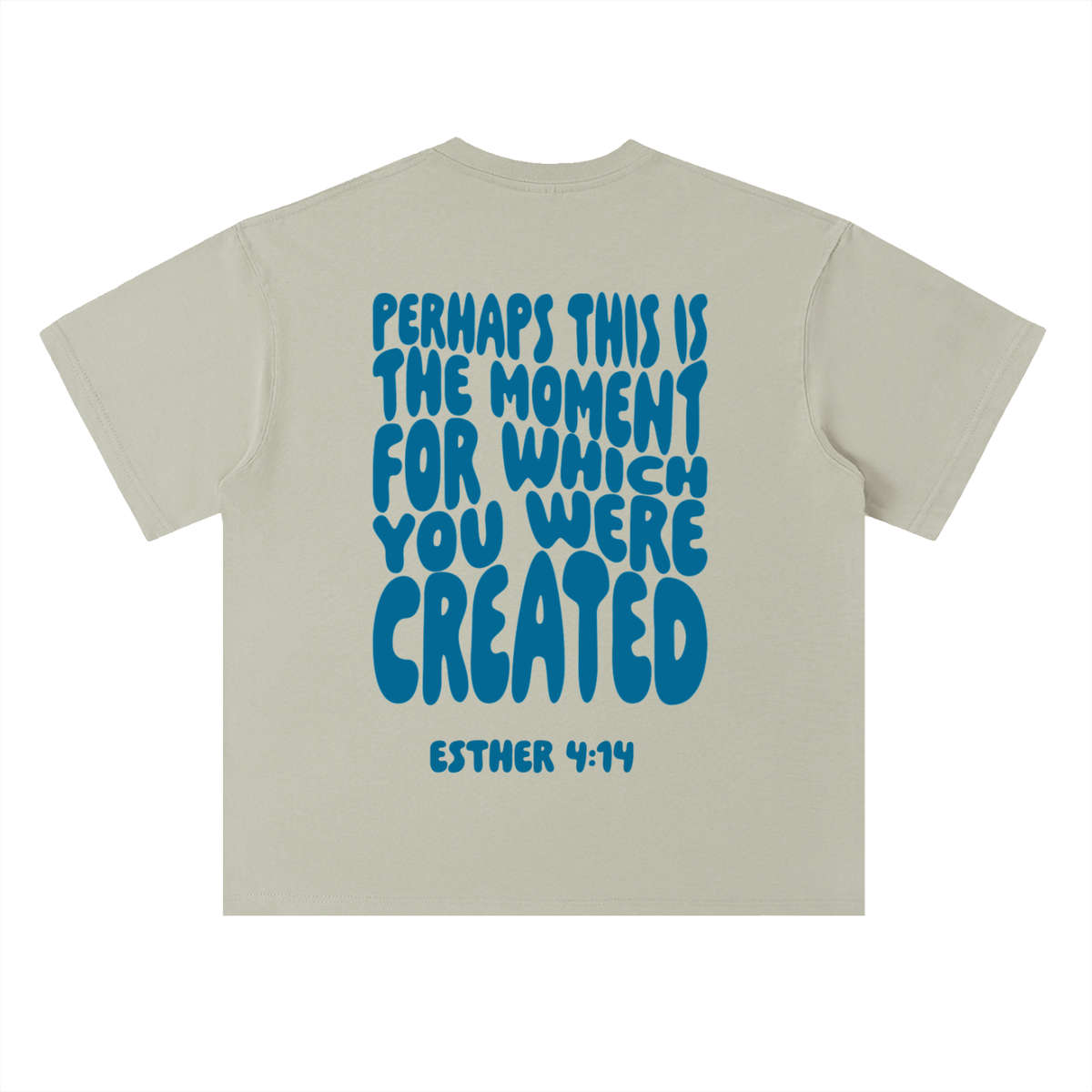 Esther 4:14 T-Shirt